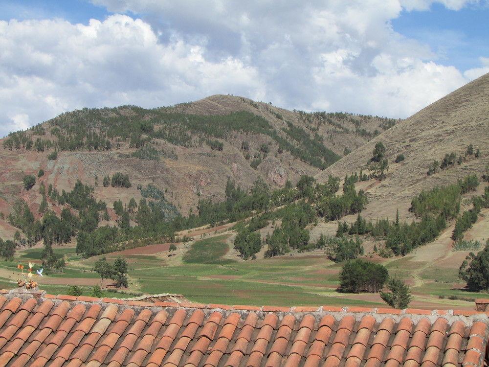Equipamiento de Habitación Gringo Wasi