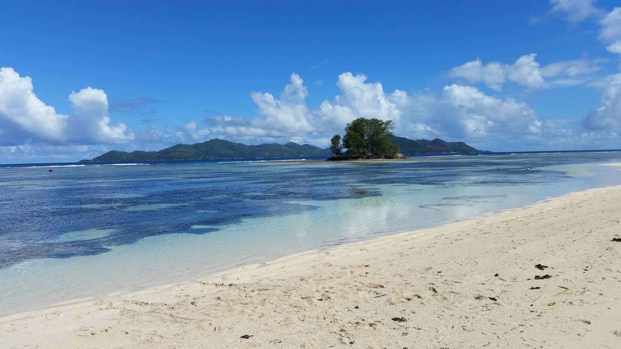 Playa Forest Lodge Guest House