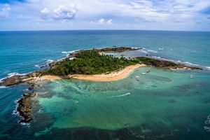 Actividad - Isla Sto.Aleixo + Uso Diurno LUP + Transfer Po.Galinhas