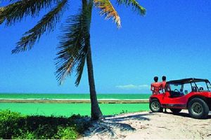 Actividad - Buggy Tour - Tour en 04 playas en 04 horas