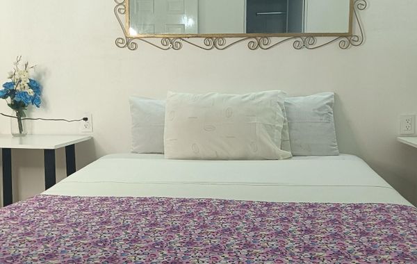 Alexandross Hostel BnB - Hoteles en Puerto Vallarta, México