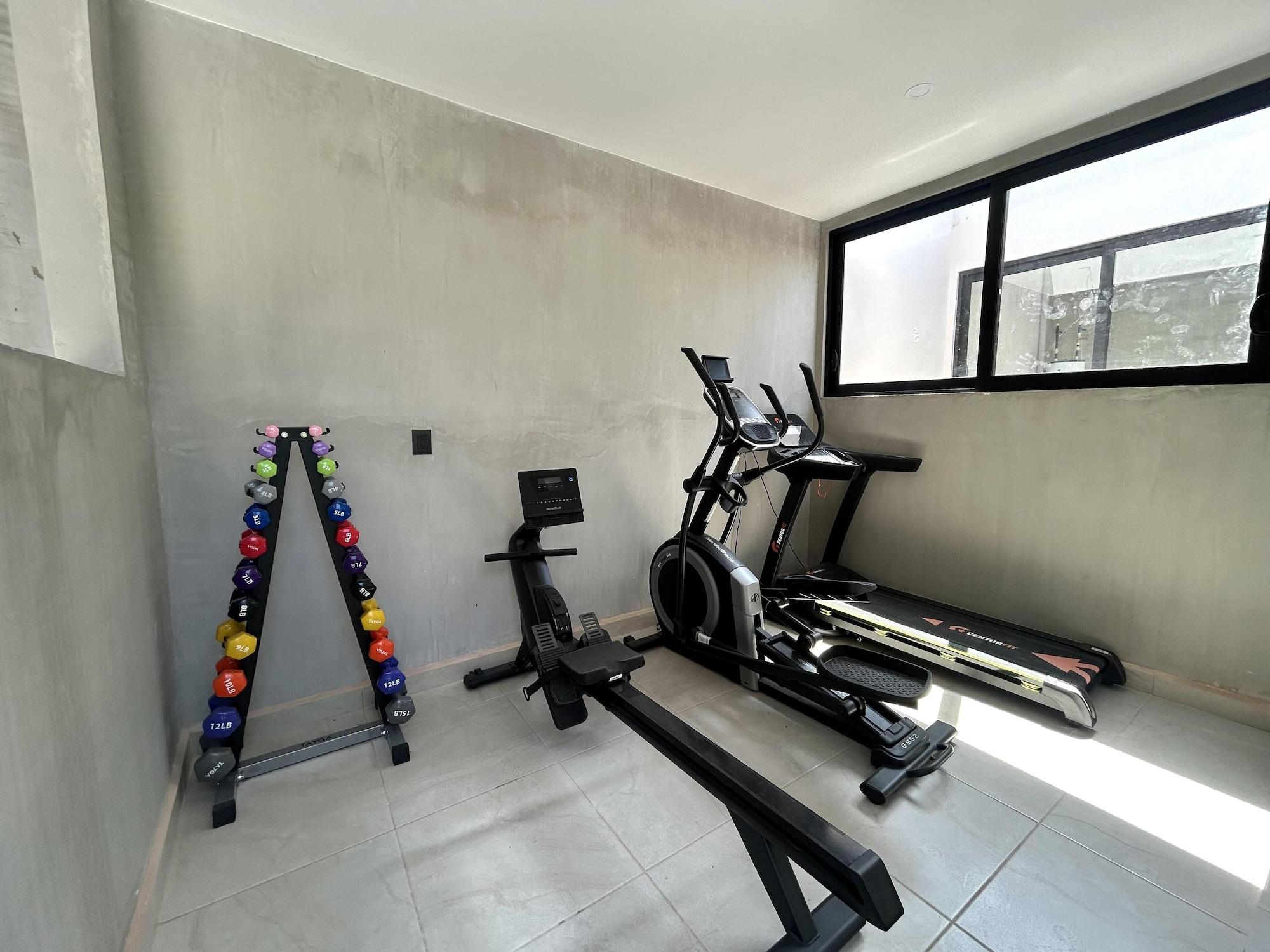Gimnasio Terranova By YALP