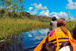 Vuelo - Vuelos a Leticia