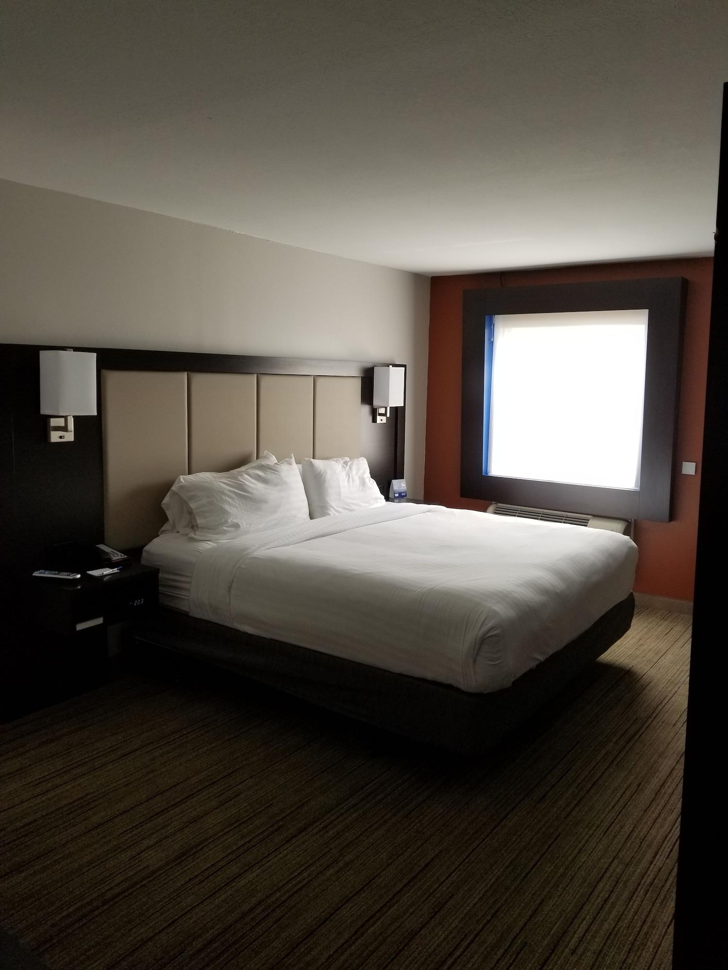 Habitación Holiday Inn Express Birch Run - Frankenmuth Area by IHG