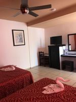 Alojamiento - Hotel Avenida