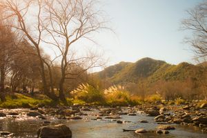 Actividad - Paseo Privado a su gusto (de 6 hs)