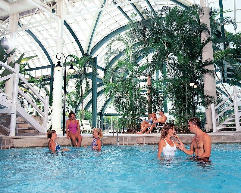 Vista Piscina Hotel Europe