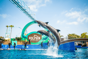 Actividad - SeaWorld San Diego Park - Ticket