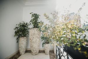 Alojamiento - Lot Boutique Hotel