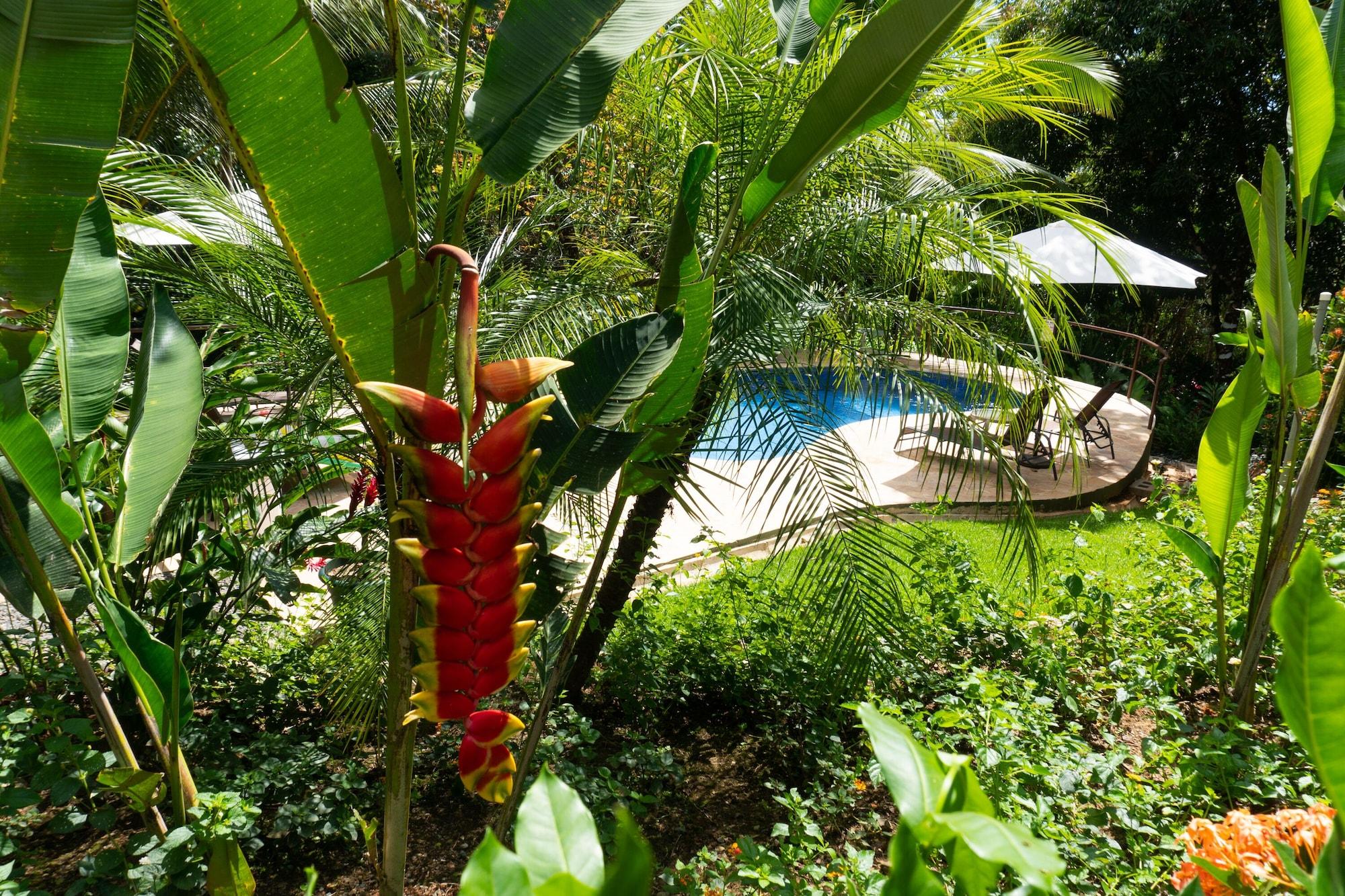 Vista Piscina Arbol Verde Villas