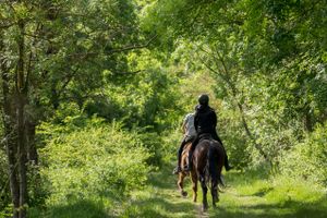 Actividad - Paseo a caballo por Baños de Agua Santa