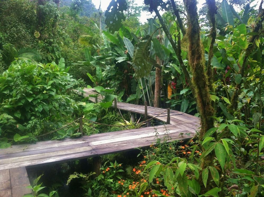 Instalaciones Recreativas Mindo Garden Lodge