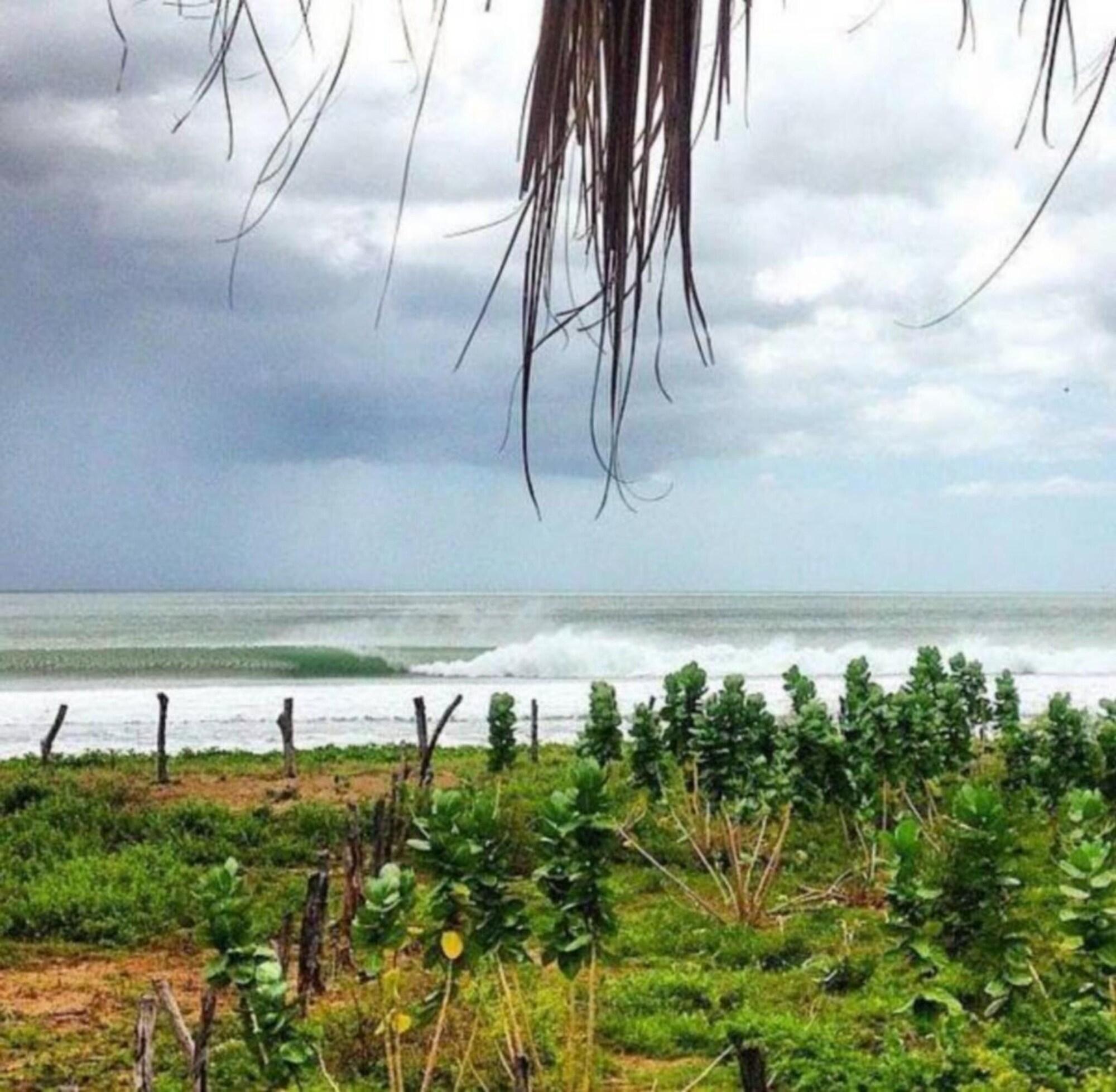Playa Wild Waves Surf-House