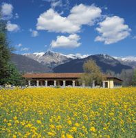 Alojamiento - Castello del Sole Beach Resort & SPA