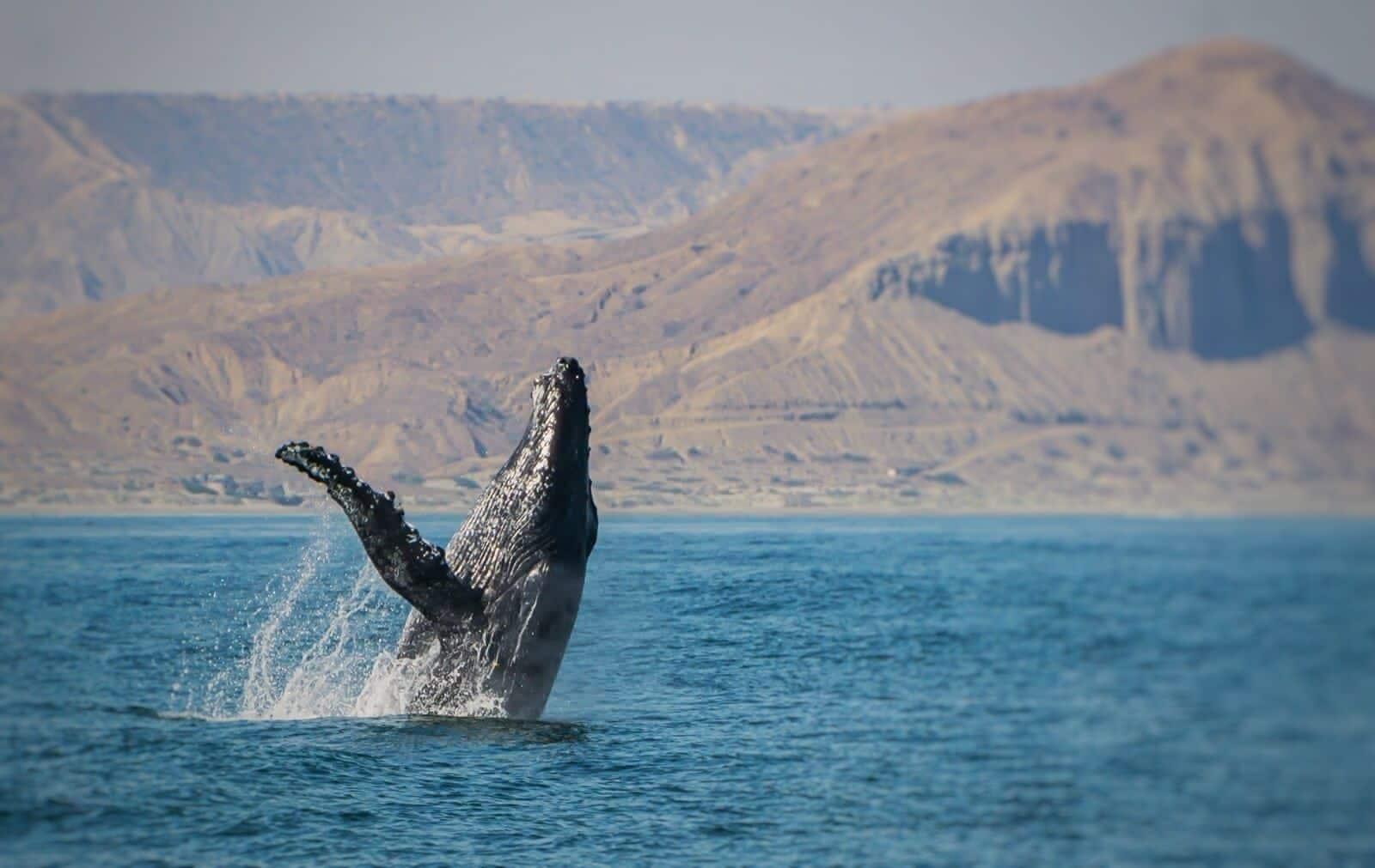 Instalaciones Recreativas VILLA DEL SOL