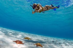 Actividad - Snorkel y Navegación en Cozumel - Tour de un día entero