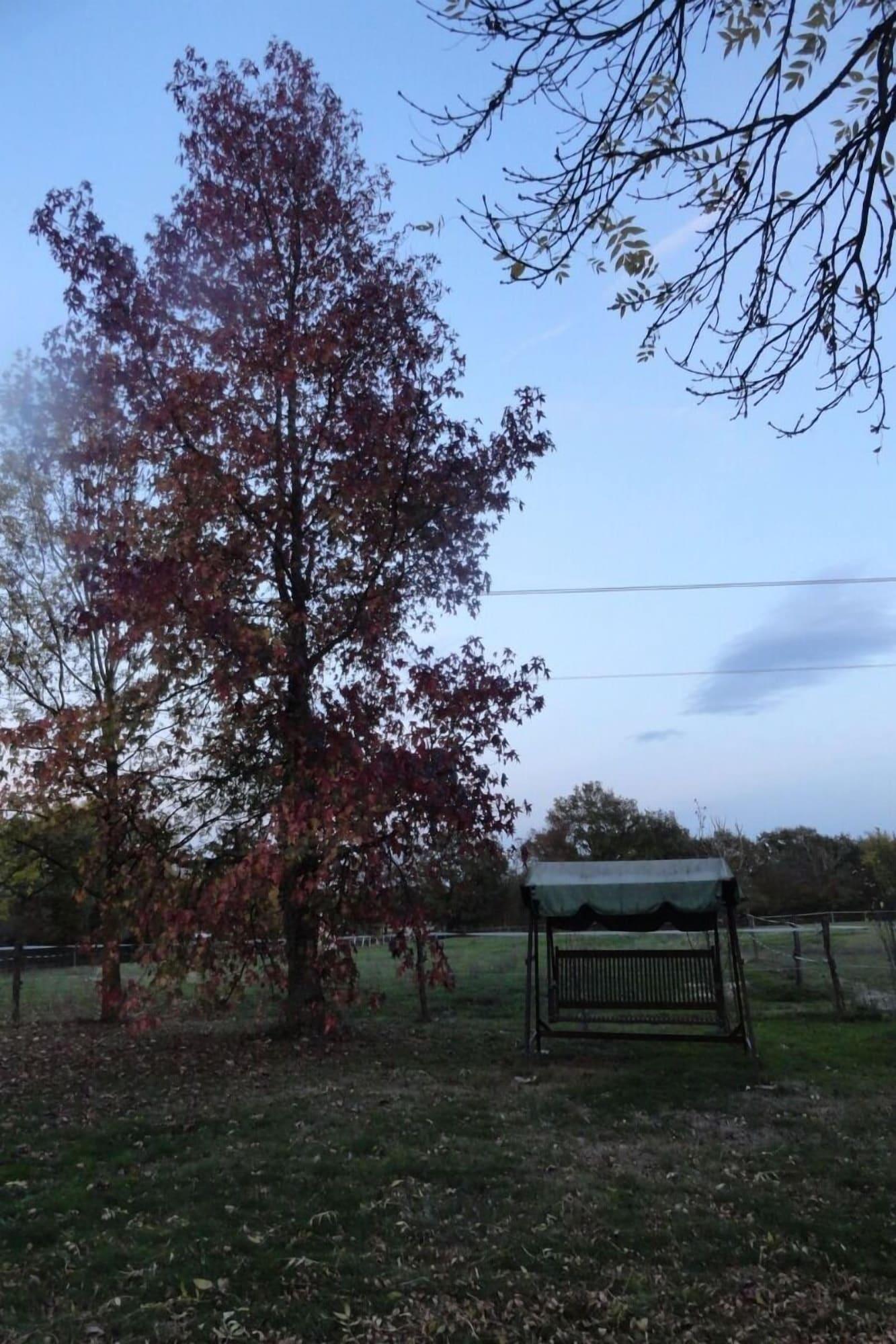 Vista Exterior Ferme Passion