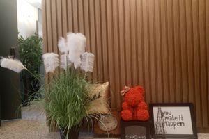 Alojamiento - Mamas and Papas Guesthouse and Apartments in Seoul