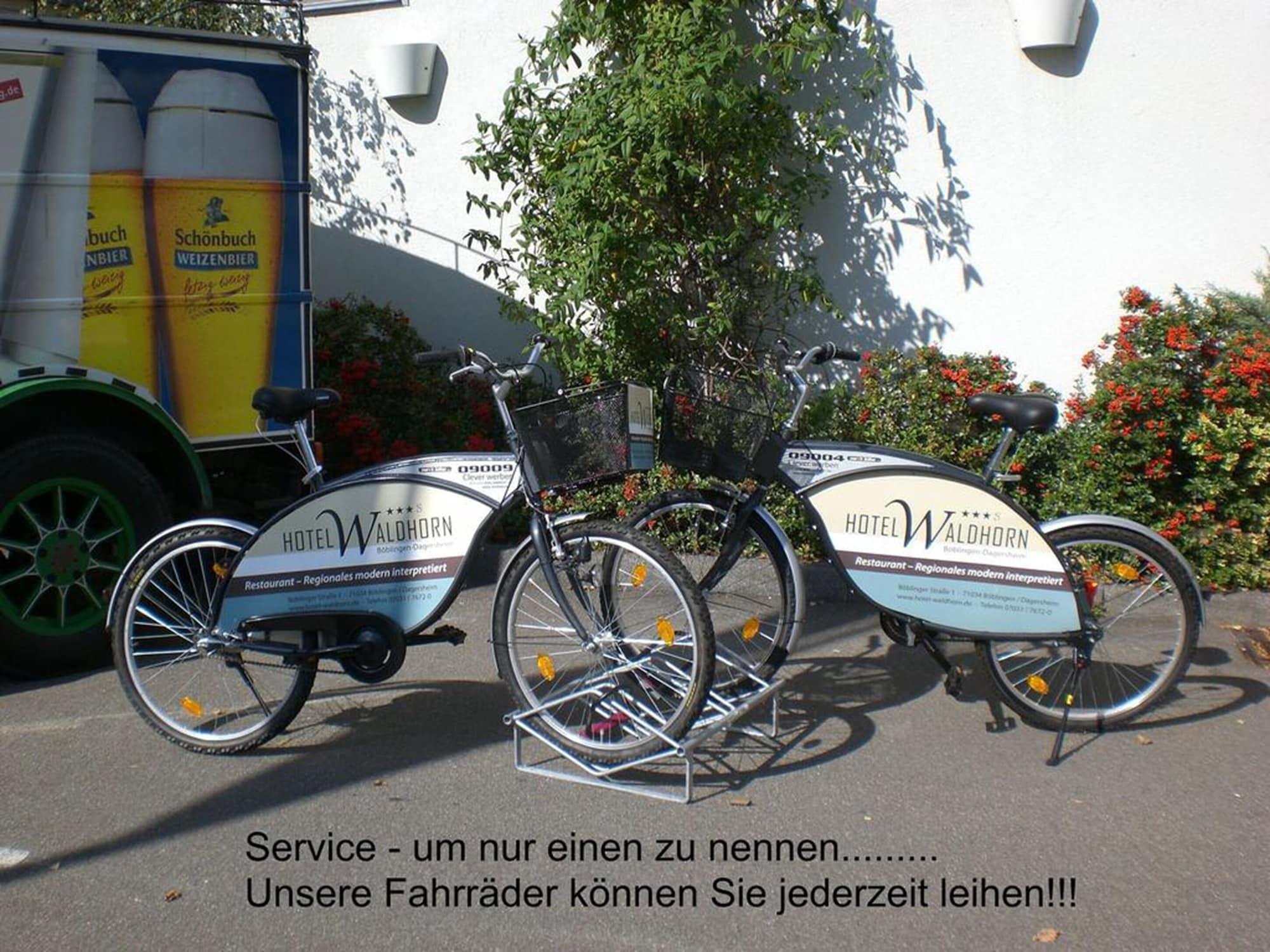 Varios Waldhorn Hotel