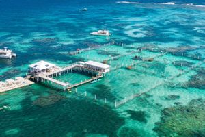 Actividad - Paseo en barco y snorkel en Marinarium