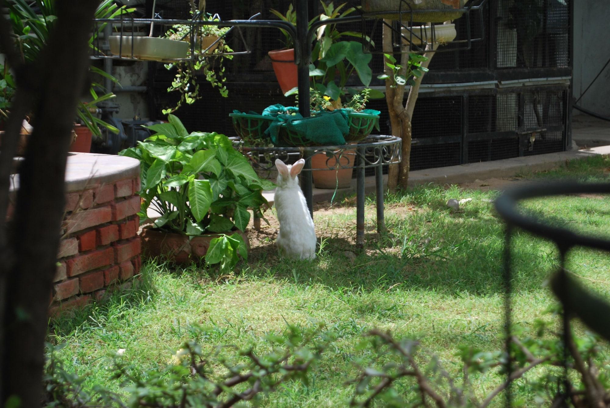 Instalaciones Recreativas Tara Niwas