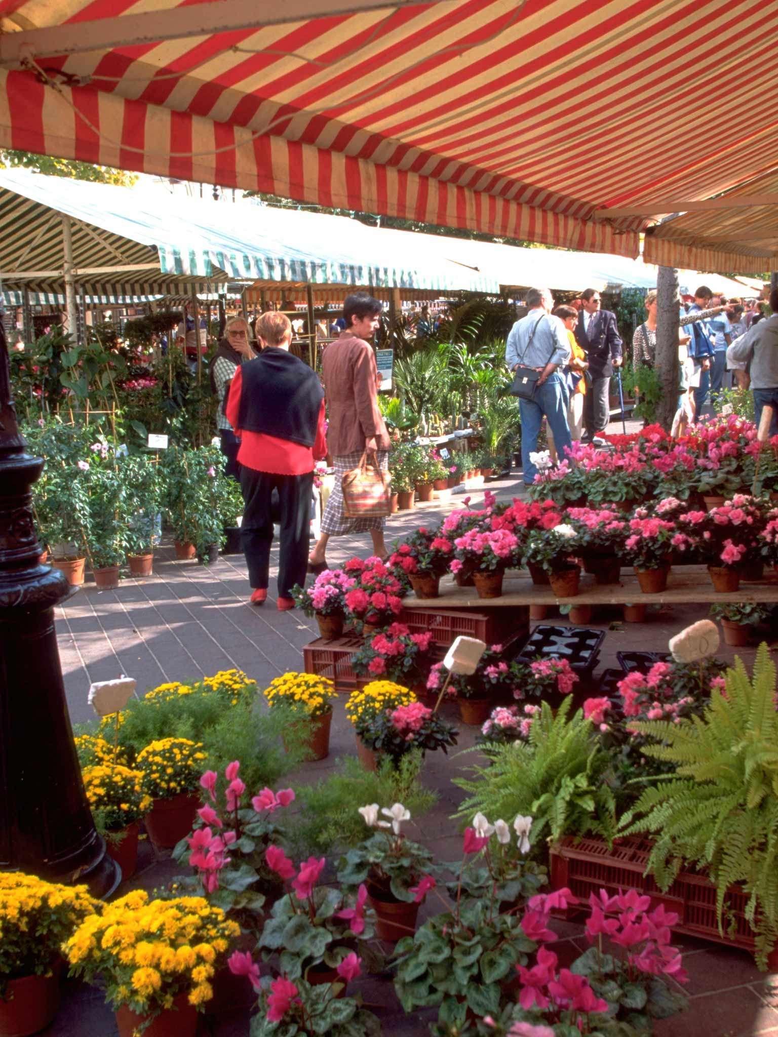 Varios ibis Nice Centre Notre Dame