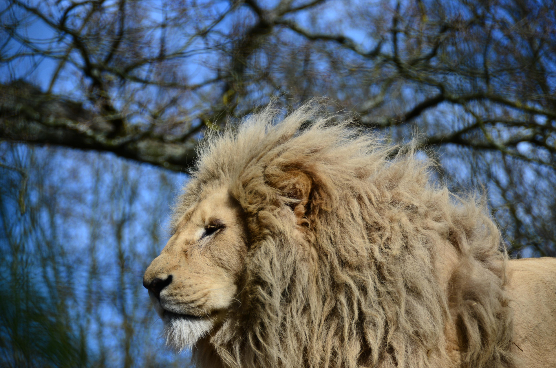 Vista Exterior Holiday Inn Stevenage by IHG