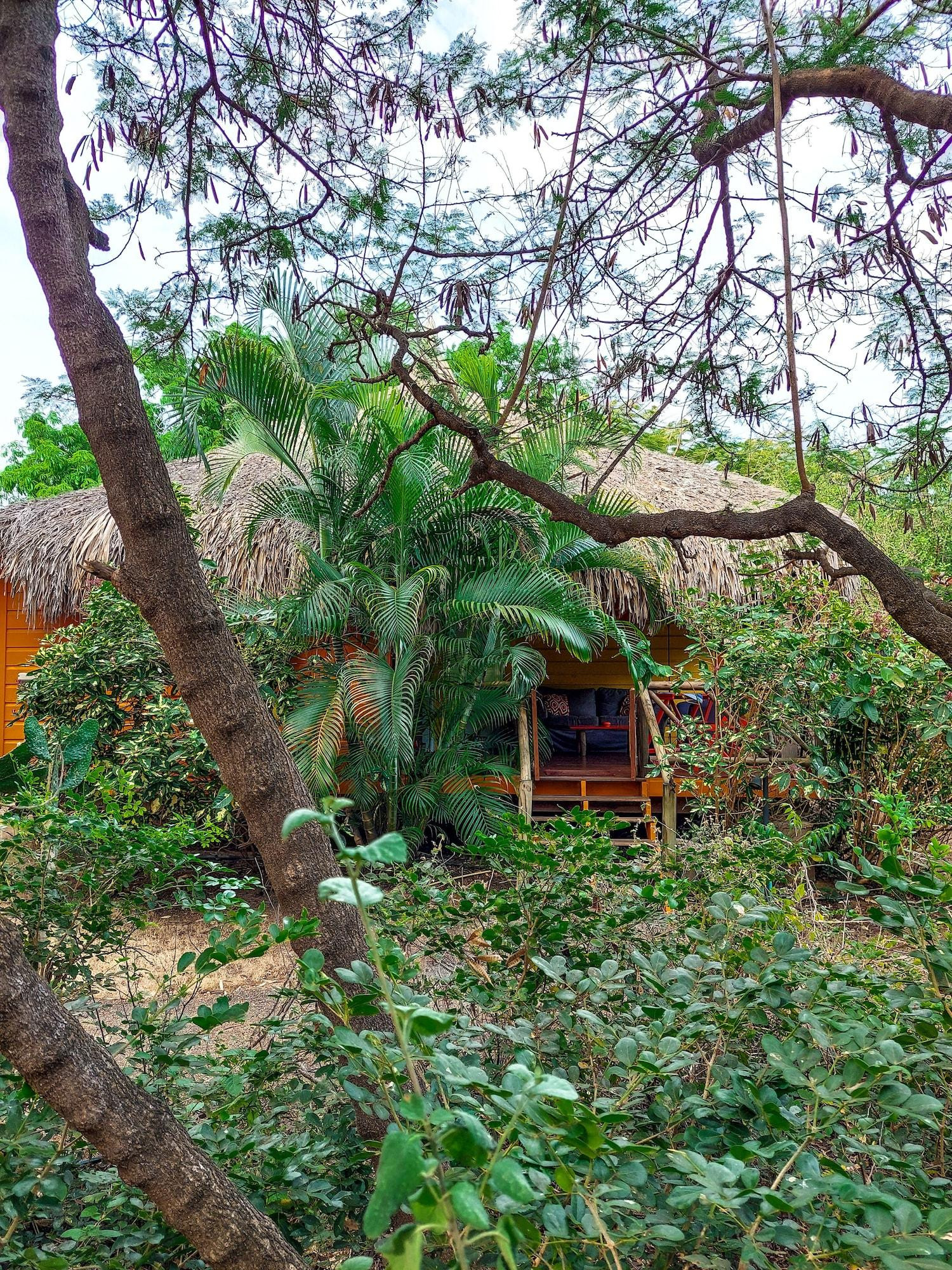 Vista Exterior Mondi Lodge