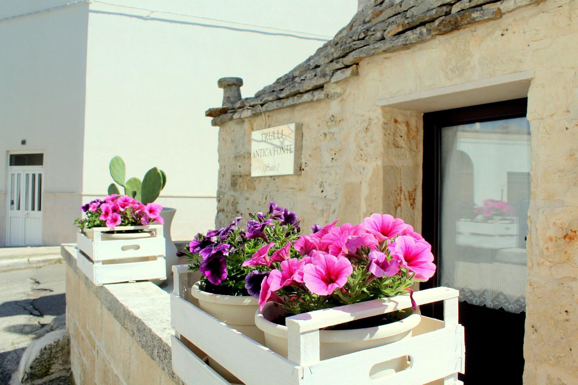 Vista Exterior Trulli Antica Fonte