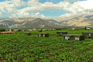 Alojamiento - El Porvenir Wine Lodge