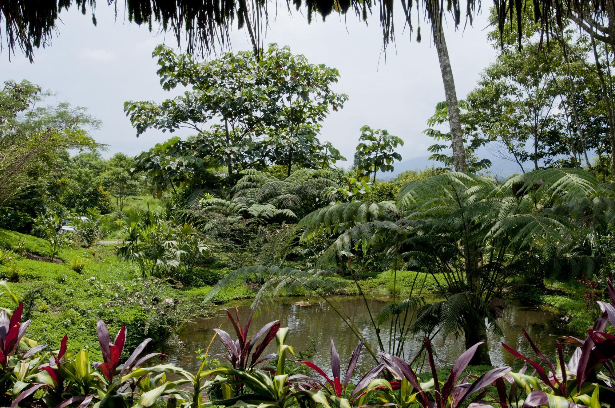 Vista Exterior Huasquila Amazon Lodge