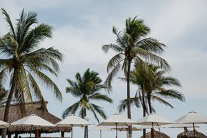 Alojamiento - Hotel Suites Villasol
