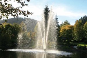 Alojamiento - Hotel Schwarzwaldhof