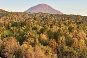 Alojamiento - Munduk Nature Lodge