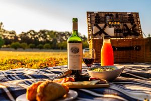 Actividad - Pic nic en Finca del Sacramento