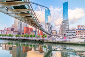 Actividad - Tour privado: Vehículo y chófer a disposición en Bilbao