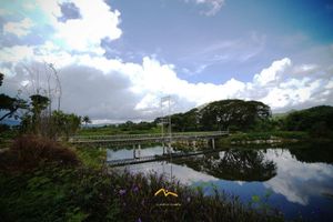 Alojamiento - Athena Glamping Khaoyai