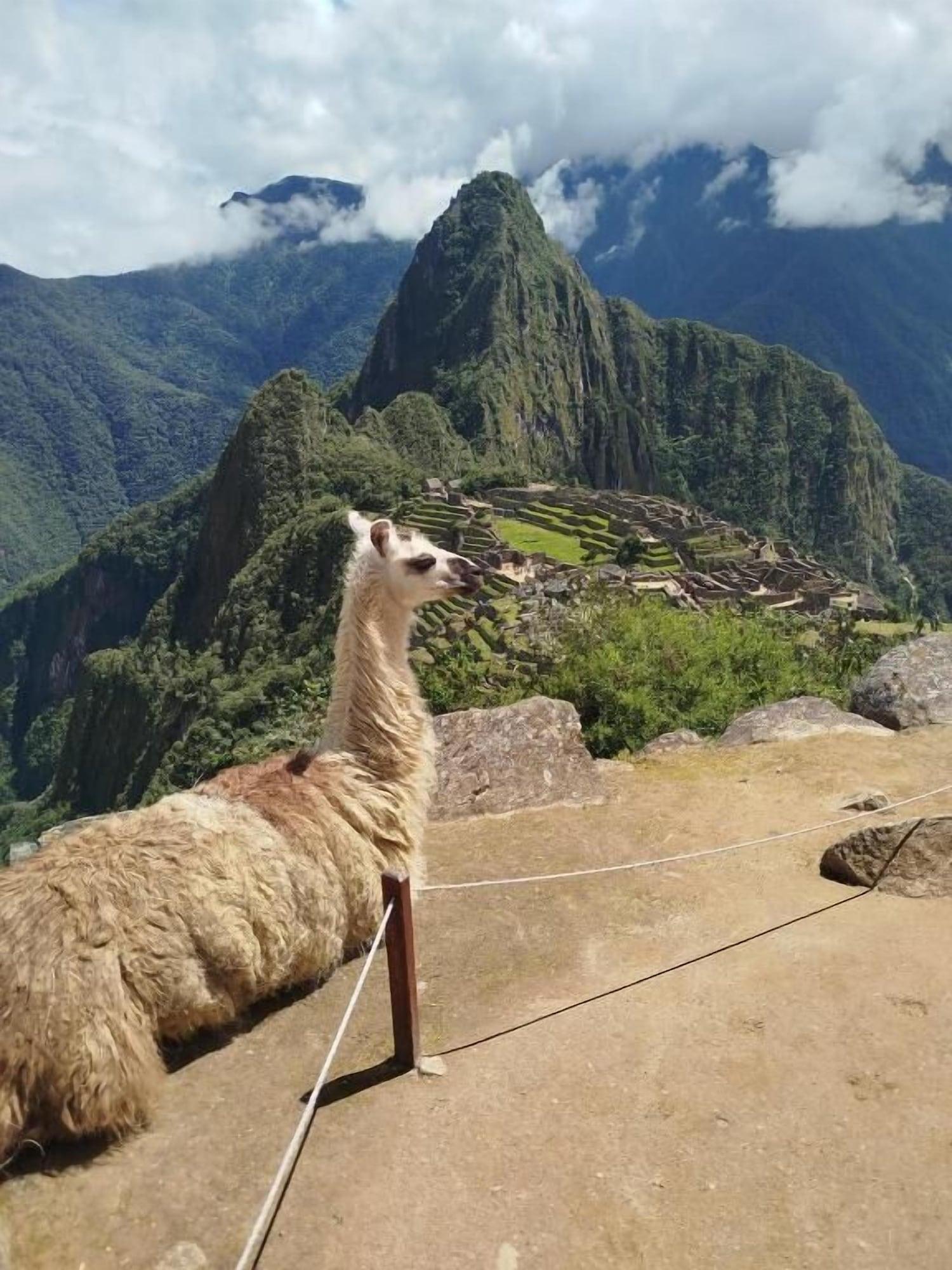 Varios Machu Picchu Picos House