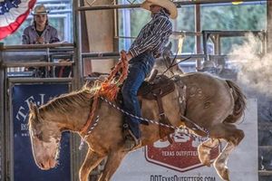 Actividad - Entrada a un rodeo en Texas
