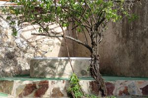 Alojamiento - Hostal San Miguel