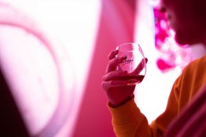 Actividad - Entrada y degustacion en el Pink Palace