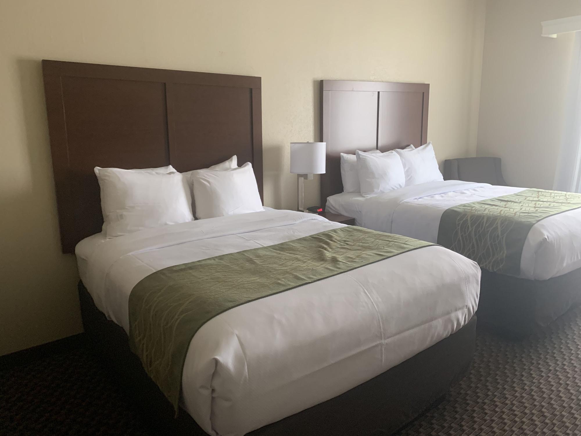 Habitación Comfort Inn & Suites Rock Hill Northeast