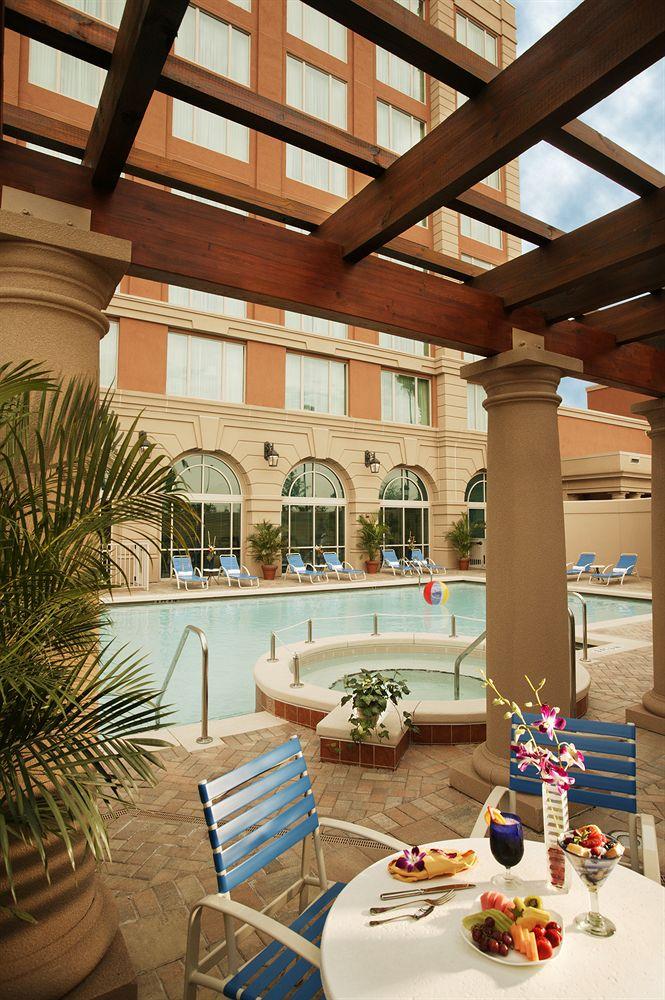 Pool view Renaissance Tampa International Plaza Hotel
