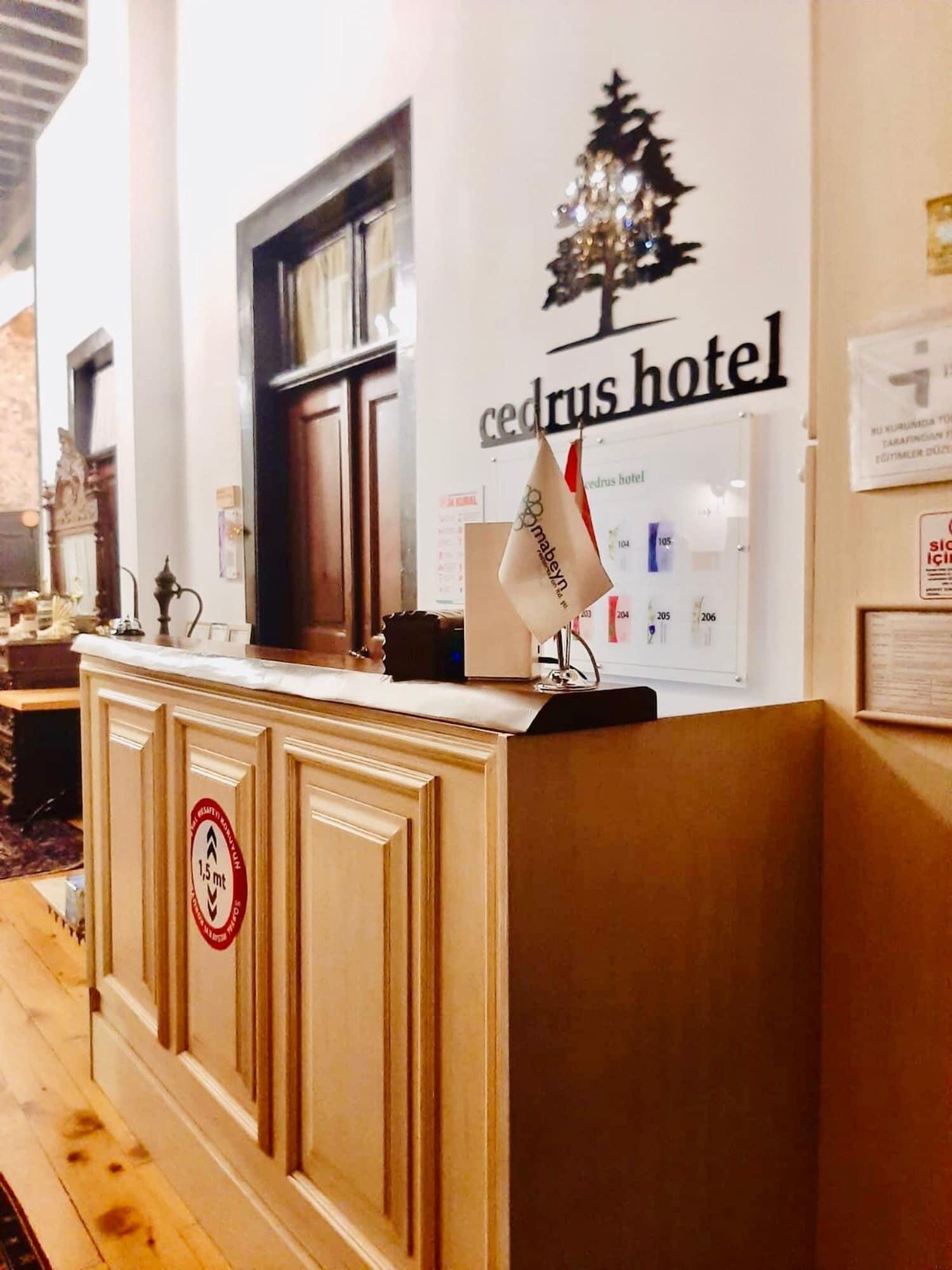 Vista Lobby Cedrus Hotel