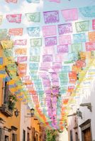 Hoteles en San Miguel de Allende pet friendly