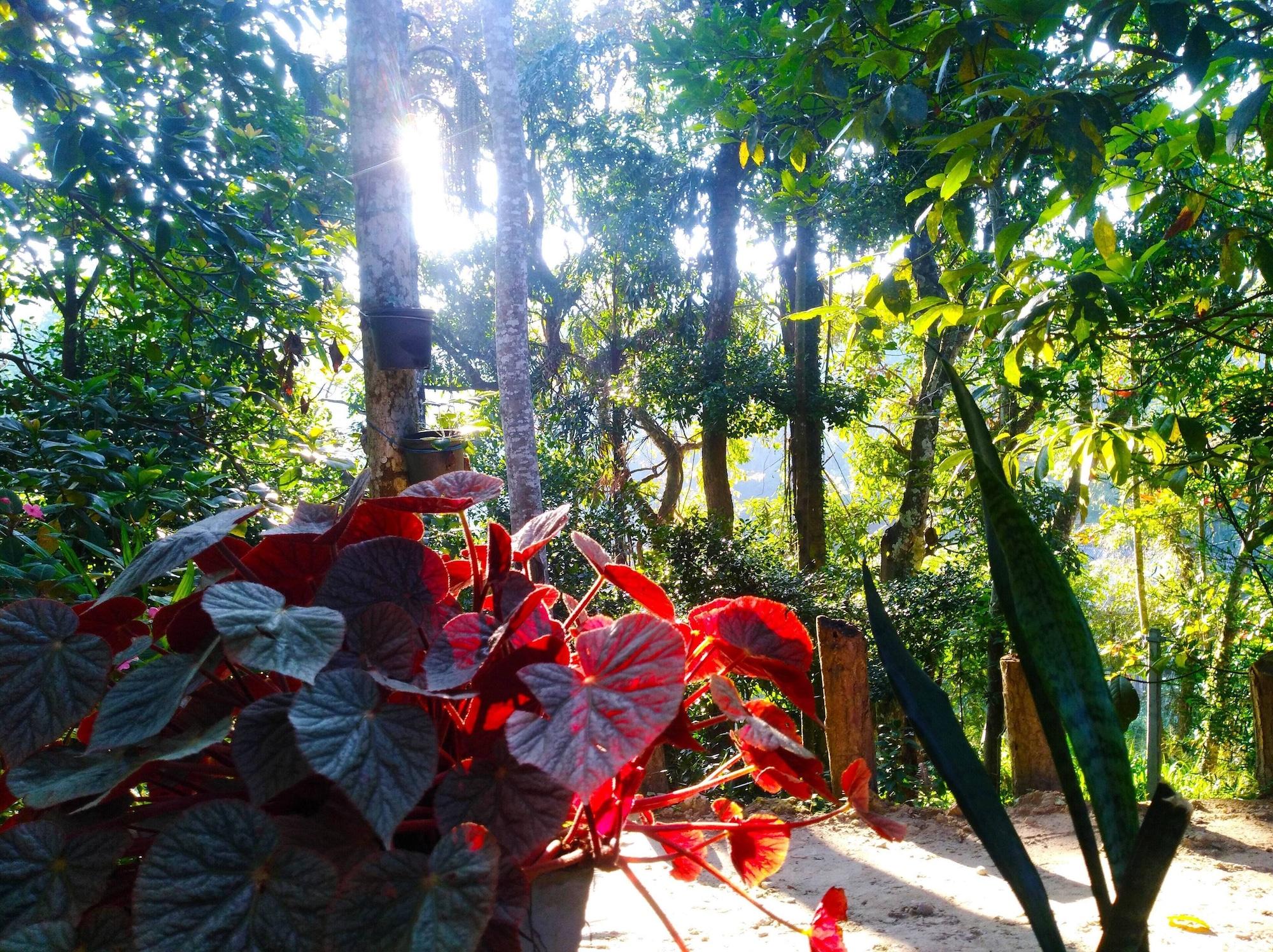 Equipamiento de Habitación Walkers Nest