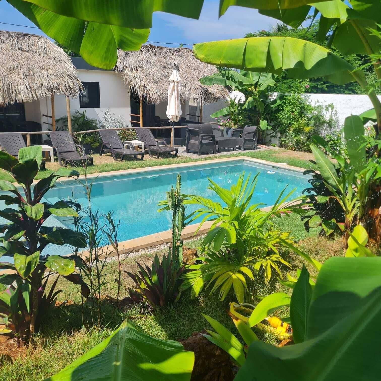 Vista Piscina Bungalows Colibrì - Pool & Nature