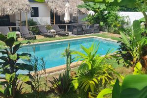 Alojamiento - Bungalows Colibrì - Pool & Nature