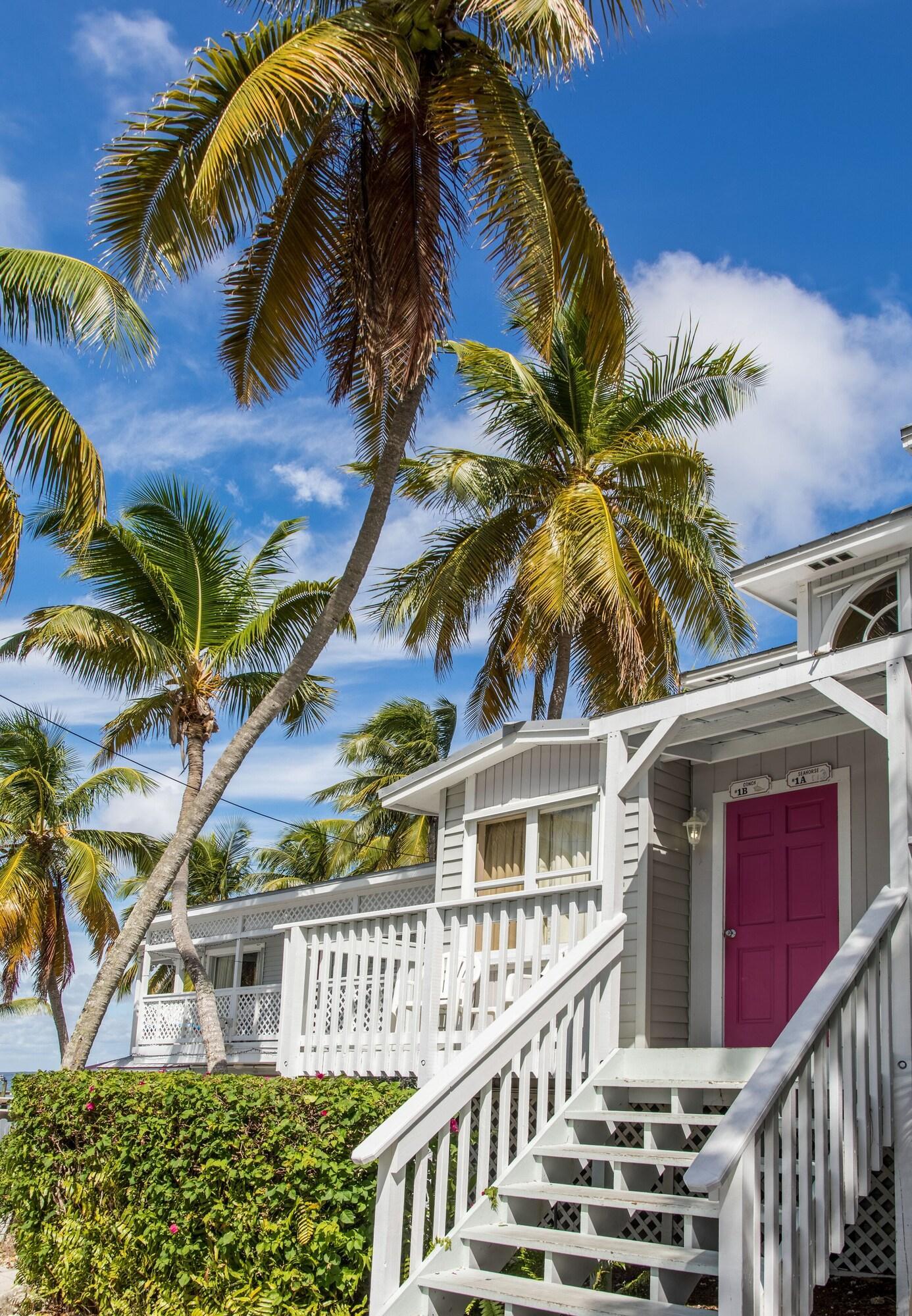 Vista Exterior Amoray Dive Resort