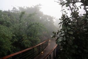 Alojamiento - Outpost 12 - A Sinali Experience - Kanha